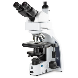 Euromex Microscop Mikroskop iScope IS.1159-PLPHi, Bino + Phototubus, infinity, Plan Phase IOS 100x-1000x, 10x/22 DL, Köhler LED